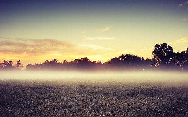 morning-mist-wallpapers-17