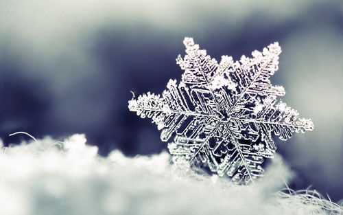 macro-snowflake