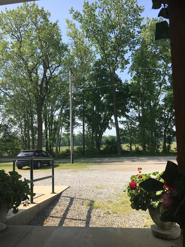 33298587_10155529116798133_7305048284488269824_n